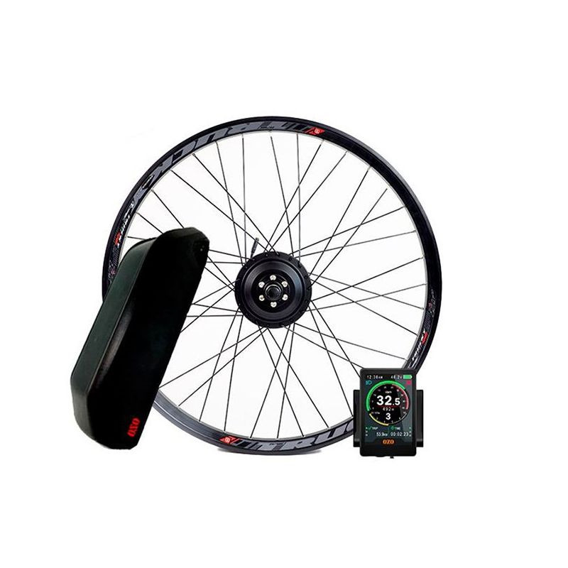 Kit Conversion Vélo électrique 1000W - Roue Avant 20" 48V - Moteur Brushless, écran LCD, Accélérateur Au Pouce - Idéal VTT, Trajet Quotidien