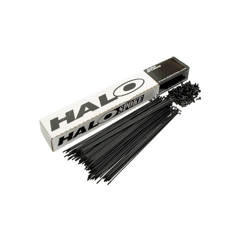 Rayons Sapim Fort 13/14g Noir - Lot De 100, Longueur 310mm, Neuf